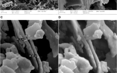 New publication on Si kerf powder for LIB